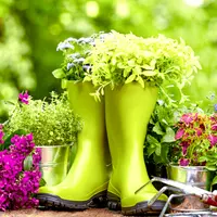 Целебный аптекарский огород на участке или балконе