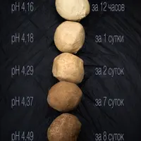 Левито Мадре с нуля