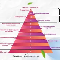 Старости нет. 4 ступень: Формируем клеточную защиту