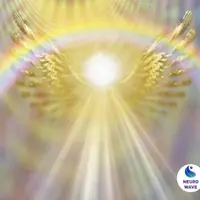 Сотворение ангела. Физиология ангельской машины