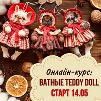 Ватные Teddy doll
