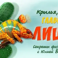 Крылья, ноги… главное лицо! Секреты физиогномики