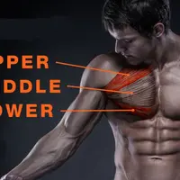 Грудь богов