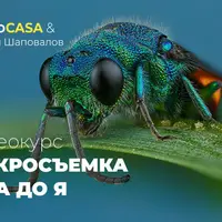 Макросъемка от А до Я