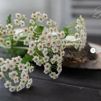 Тысячелистник