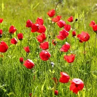 Исконно мужское и женское начало