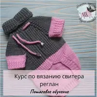 Вязание свитера реглан питомцу