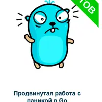 Продвинутая работа с паникой в Go