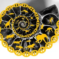 Как устроен мир: от молекулы до человека