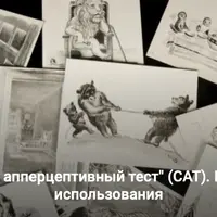 Детский апперцептивный тест (СAT). Практика использования