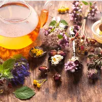 Травничество как образ жизни