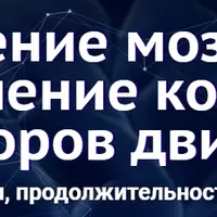 Исцеление мозжечка: восстановление координации и сенсоров движения