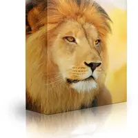 Тренировочный набор Alpha Male v6.0, этап 3