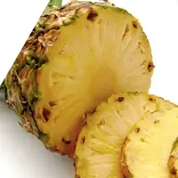 Протокол "Комплексный" аптека