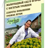 Малоуходный сад, цветник и огород с богатым урожаем