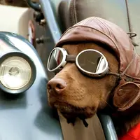 Трансформация Фильтров Восприятия