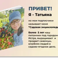 Посадка голубики