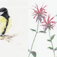 Акварельная живая природа в позитиве и негативе