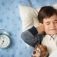 Травы в помощь школьнику. Как поднять работоспособность