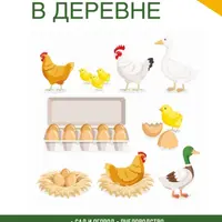 Домик в деревне. Безопасная организация