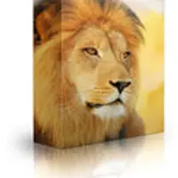 Тренировочный набор Alpha Male v6.0, этап 5