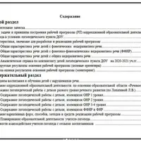 Рабочая программа учителя-логопеда в условиях логопедического пункта ДОУ