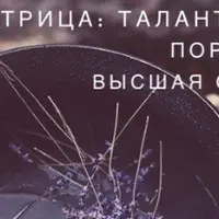 Матрица. Талант, портрет, Высшая суть