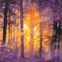 Акварельные пейзажи: Рисуйте светом