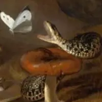 Медитация Тотем "Змея"