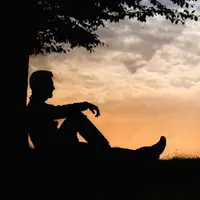 Защитный ритуал на Тень дерева от бытового и магического негатива