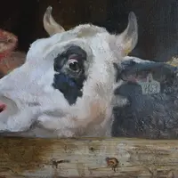 Котёнок маслом: секреты ремесла