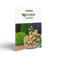 Топ-20 деревьев и кустарников для сада