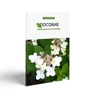 Черенкование кустарников