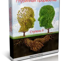 Родовые программы: глубинная проработка. Ступень II