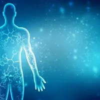 Сканирование тела 2.0