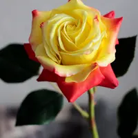 Роза Чарльстон из полимерной глины