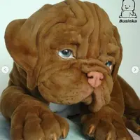 Создание щенка Бордосского дога