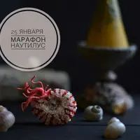 Брошь Наутилус