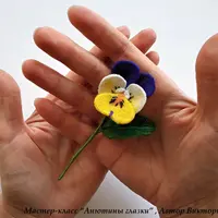 Анютины глазки