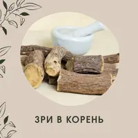 Зри в корень или всё о пользе корней