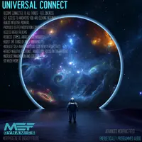 Универсальное соединение (морфическое поле)