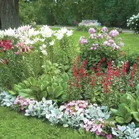 Создаем красивый цветник