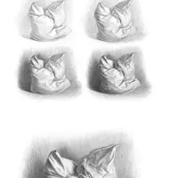 Как рисовать складки