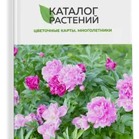 Цветочные карты. Многолетники