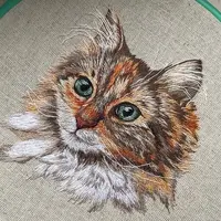 Вышиваю, как хочу!