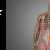 Напряжение и растяжение спины