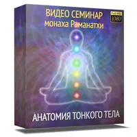 Анатомия тонкого тела