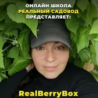 Реальный садовод. BerryBox Плодись и размножайся