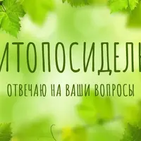 Фитопосиделки-2