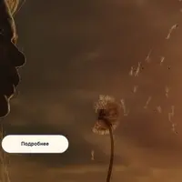 Большая коробка